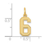 14k Small Satin Number 6 Charm