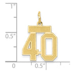 14k Small Satin Number 40 Charm