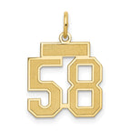14k Small Satin Number 58 Charm