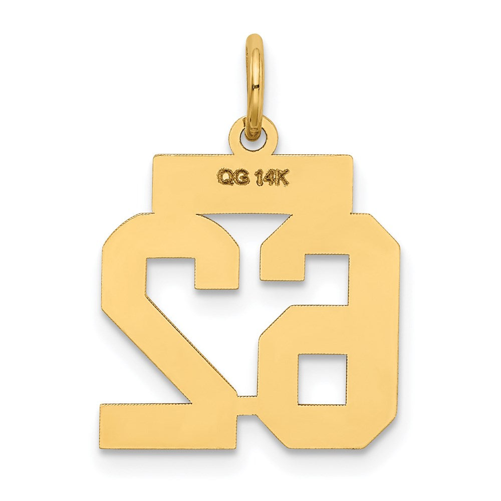 14k Small Satin Number 62 Charm