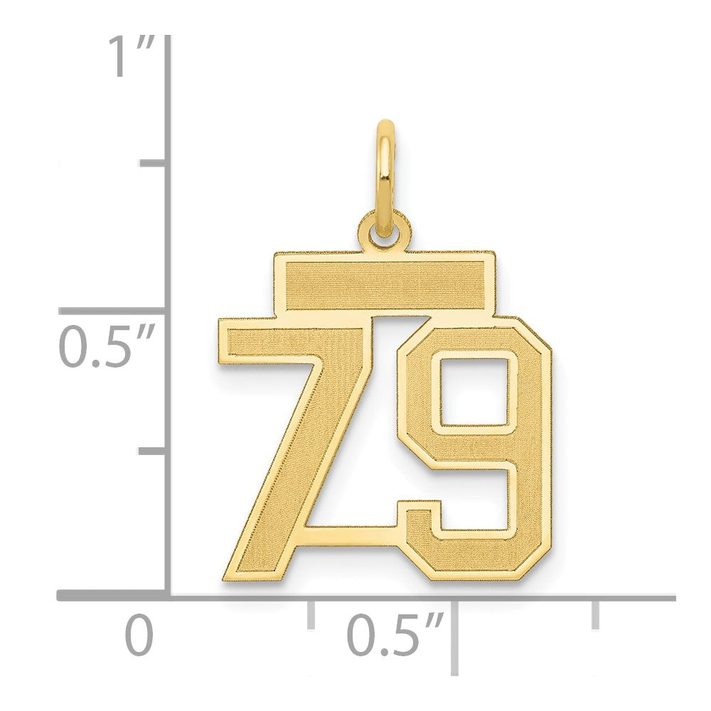 14k Small Satin Number 79 Charm