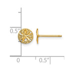 14k Diamond-Cut Sand Dollar Post Earrings