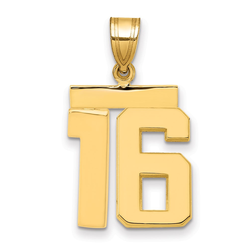 14k Medium Polished Number 16 Charm