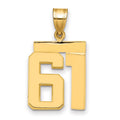 14k Medium Polished Number 61 Charm