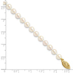 14k 5-6mm White Round Akoya Saltwater Cultured Pearl 7 inch Bracelet