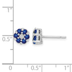Sterling Silver Rhodium Sapphire & Diamond Post Earrings