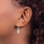 Sterling Silver Rhodium-plated CZ Owl Shepherd Hook Earrings