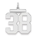Sterling Silver/Rhodium-plated Polished Number 38 Charm