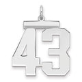 Sterling Silver/Rhodium-plated Polished Number 43 Charm