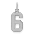 Sterling Silver/Rhodium-plated Satin Number 6 Charm