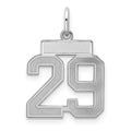 Sterling Silver/Rhodium-plated Satin Number 29 Charm