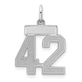 Sterling Silver/Rhodium-plated Satin Number 42 Charm