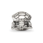 Sterling Silver Reflections Turtle Bead