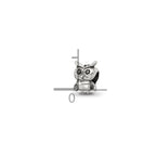 Sterling Silver Reflections Kids Owl Bead