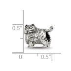Sterling Silver Reflections Persian Cat Bead