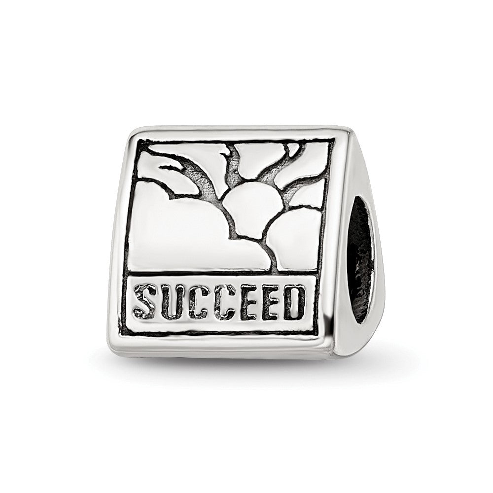 Sterling Silver Reflections Inspiration Trilogy Bead