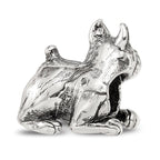 Sterling Silver Reflections Boxer Bead