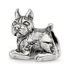 Sterling Silver Reflections Boxer Bead
