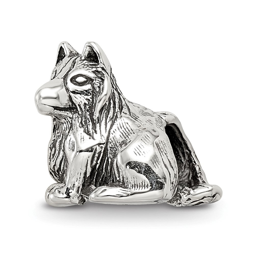 Sterling Silver Reflections Shetland Sheepdog Bead