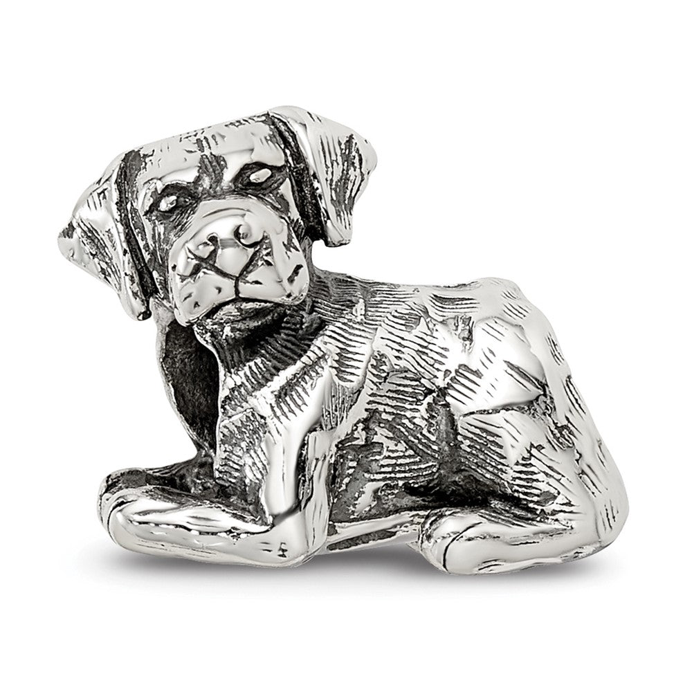Sterling Silver Reflections Labrador Retriever Bead