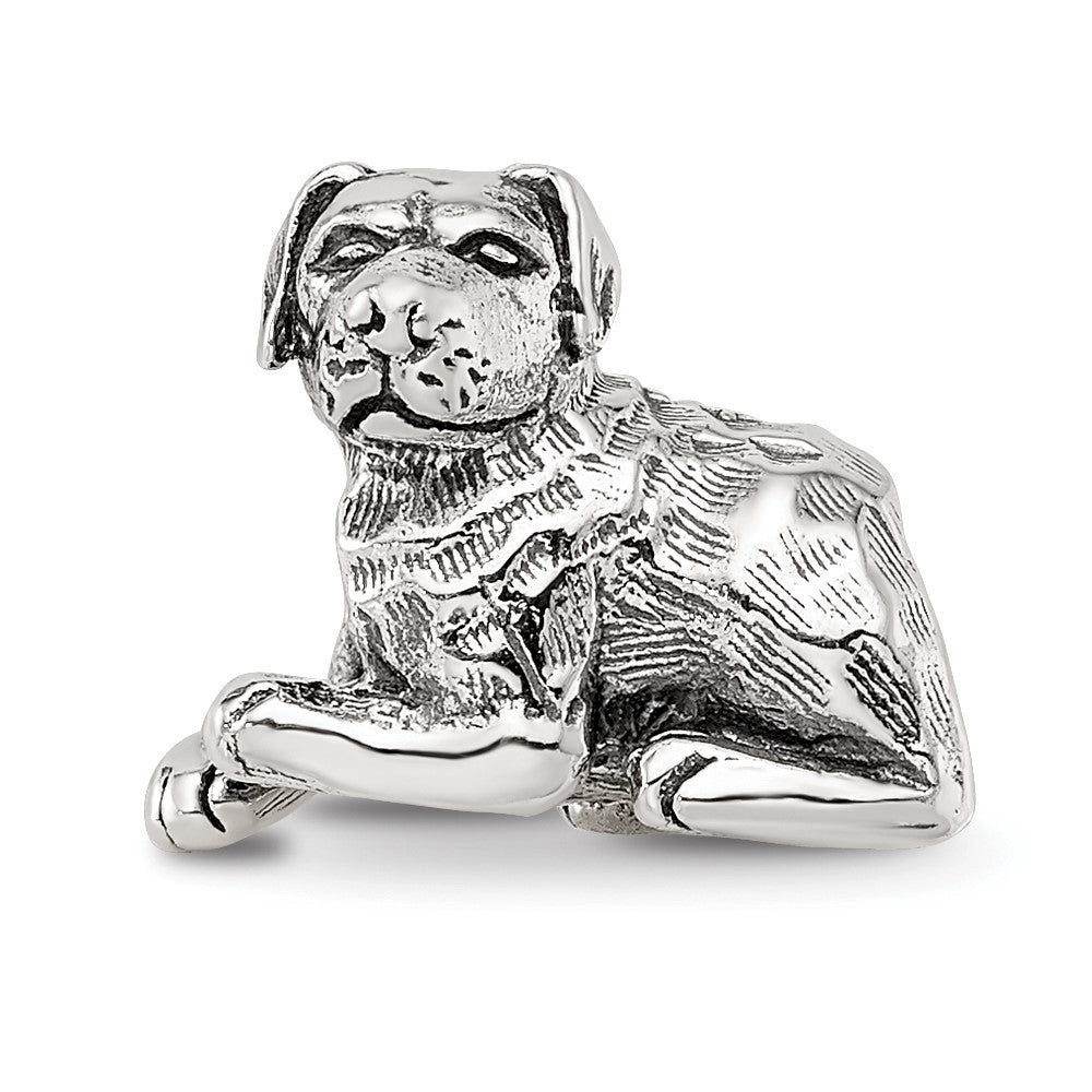 Sterling Silver Reflections Rottweiler Bead