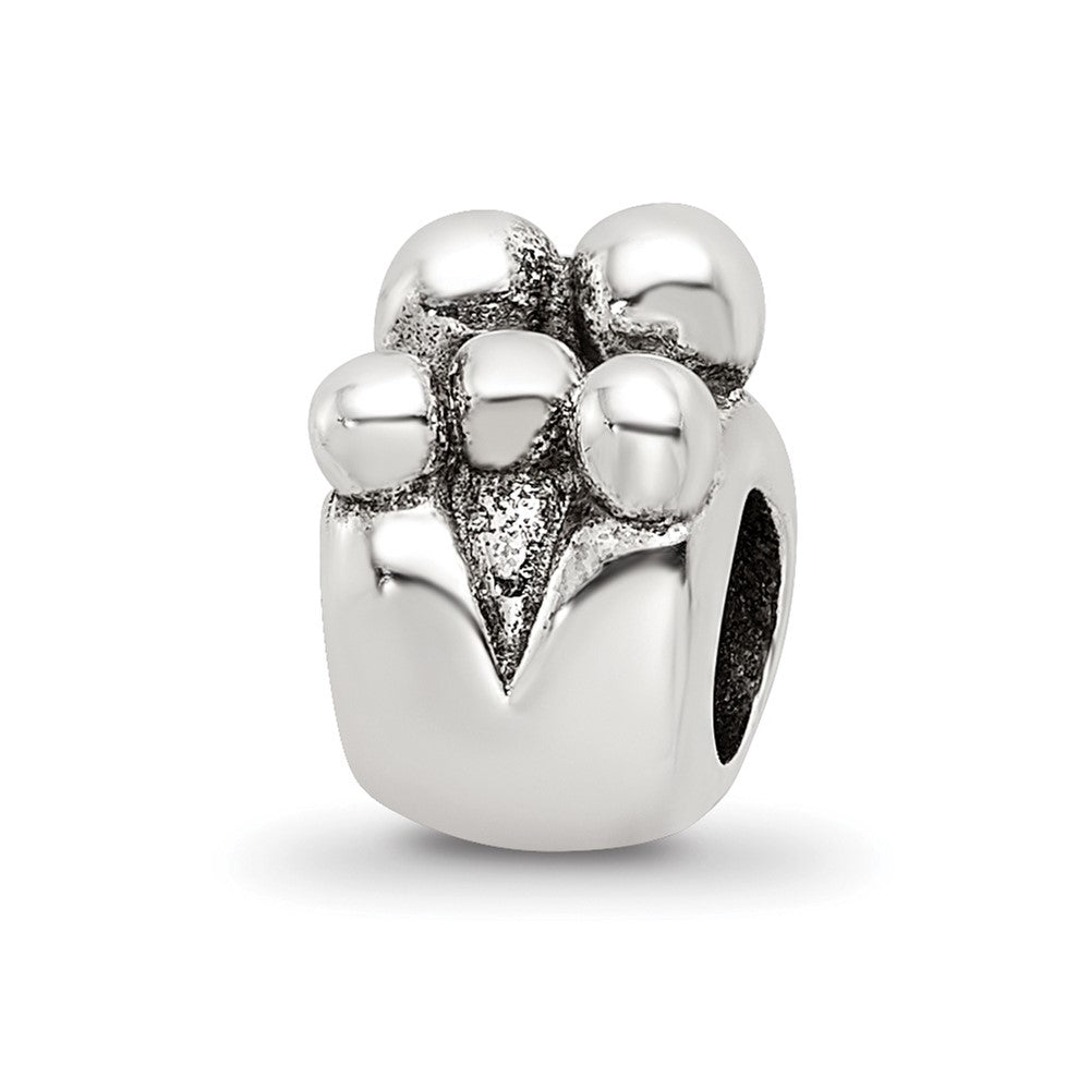 Sterling Silver Reflections Family of 5 Bead