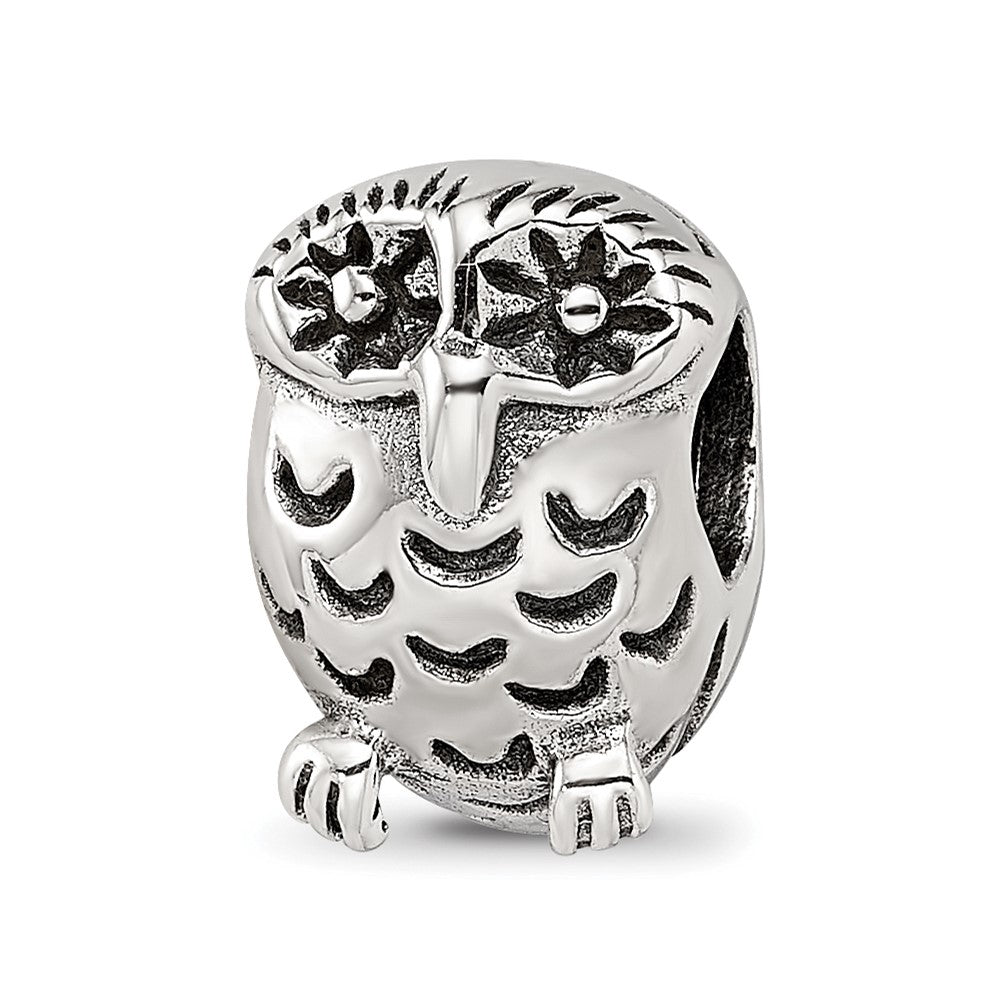 Sterling Silver Reflections Owl Bead