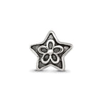 Sterling Silver Reflections Antiqued Star with Flower Kids Bead
