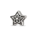 Sterling Silver Reflections Antiqued Star with Flower Kids Bead