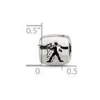 Sterling Silver Reflections Aquarius Zodiac Antiqued Bead