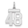 Sterling Silver/Rhodium-plated Polished Number 48 Charm
