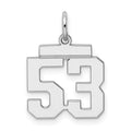 Sterling Silver/Rhodium-plated Polished Number 53 Charm