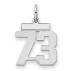 Sterling Silver/Rhodium-plated Polished Number 73 Charm