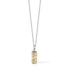 Sentimental Expressions Sterling Silver Rhodium-plated Cylinder Gold-tone Accent Ash Holder 18 Inch Necklace