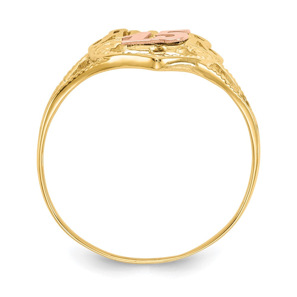 14k Two-Tone Quinceanera AMOR 15 Heart Ring
