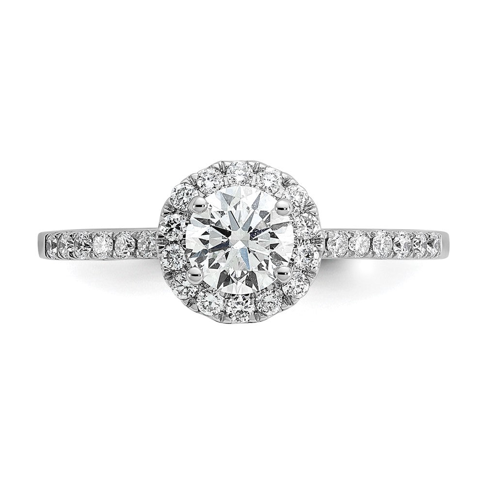 14k White Gold 3/4 carat Lab Grown Diamond VS/SI+ G+ Complete Halo Engagement Ring