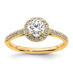 14k 3/4 carat Lab Grown Diamond VS/SI+ G+ Complete Halo Engagement Ring