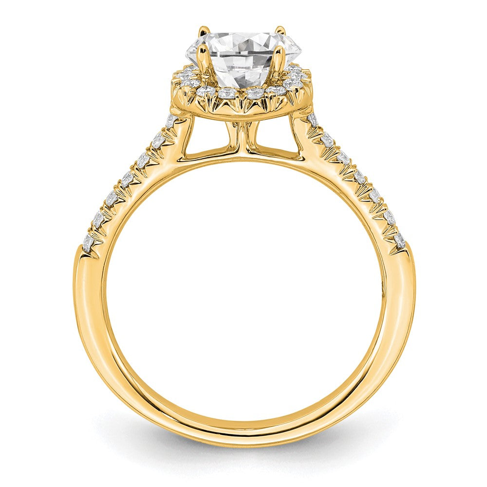 14k 3/4 carat Lab Grown Diamond VS/SI+ G+ Round Complete Halo Engagement Ring