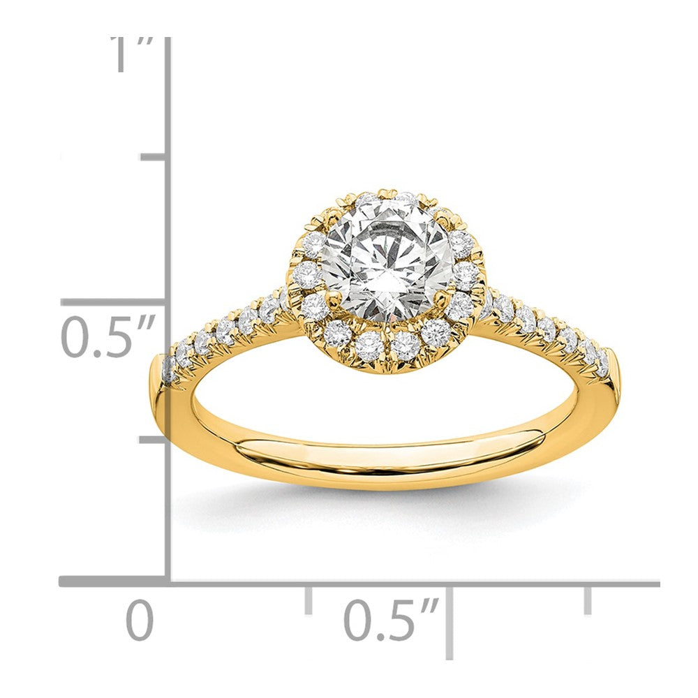 14k 3/4 carat Lab Grown Diamond VS/SI+ G+ Round Complete Halo Engagement Ring