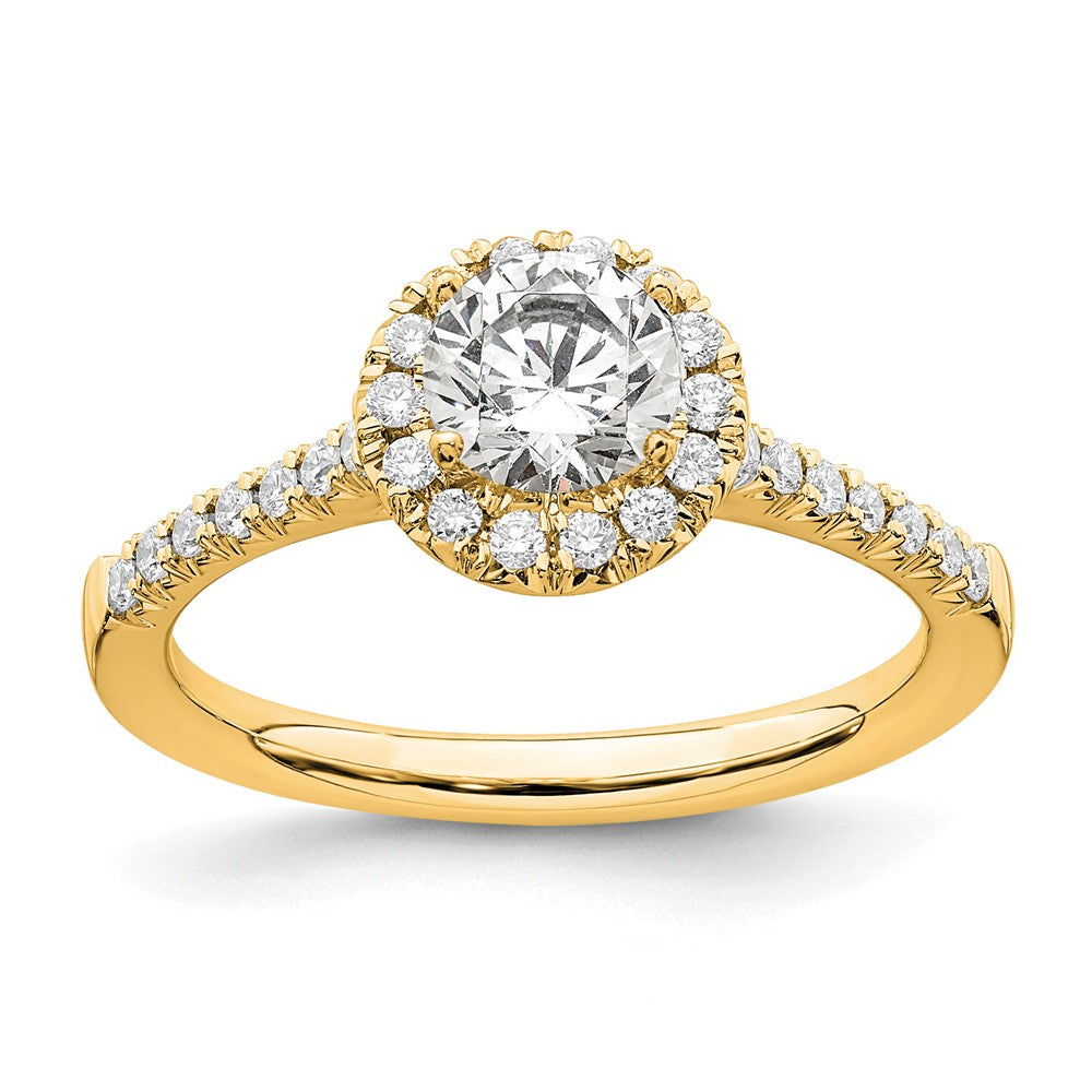 14k 3/4 carat Lab Grown Diamond VS/SI+ G+ Round Complete Halo Engagement Ring