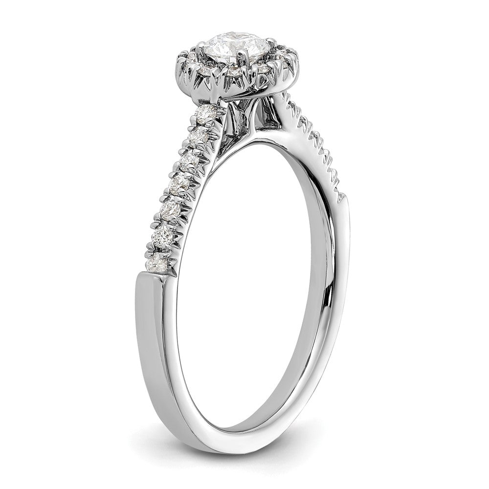 14kw Lab Grown Diamond VS+ F+ 1/4 ctw Round Halo Engagement Ring Se