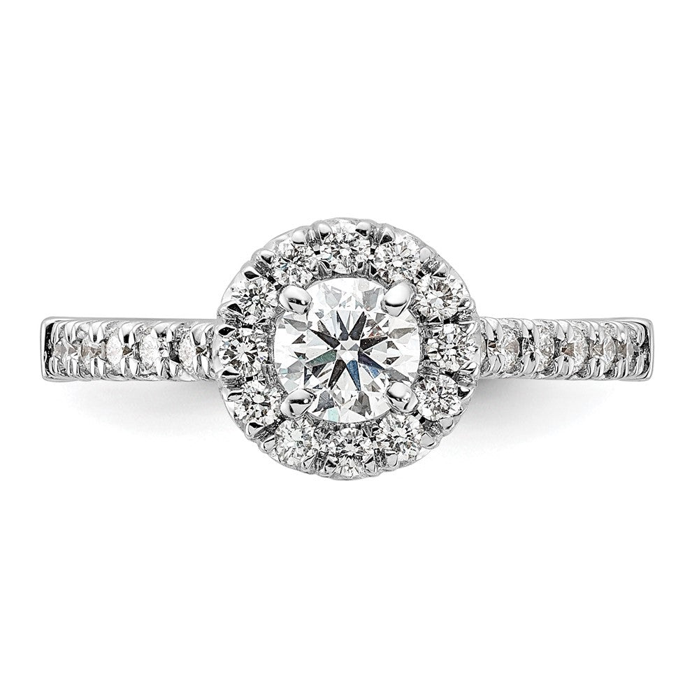 14kw Lab Grown Diamond VS+ F+ 1/2 ctw Round Halo Engagement Ring Se