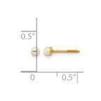 14k Madi K 2.5-3.5mm White Button Freshwater Cultured Pearl Screwback Post Earrings