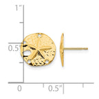 14k Madi K Sand Dollar Childrens Post Earrings