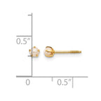 14k Madi K 2-3mm White Round Freshwater Cultured Pearl Screwback Post Earrings