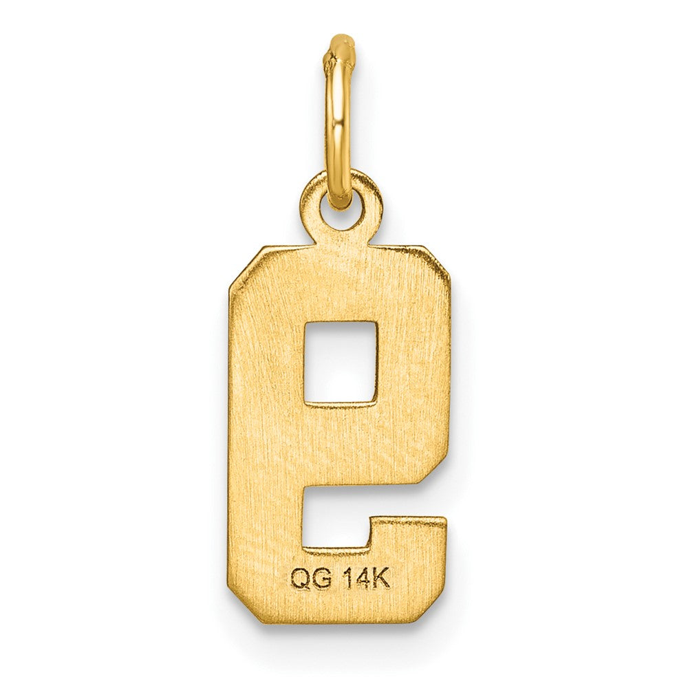 14k Small Brushed Diamond-cut Number 9 Charm