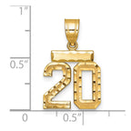 14k Small Brushed Diamond-cut Number 20 Charm