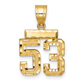 14k Small Brushed Diamond-cut Number 53 Charm