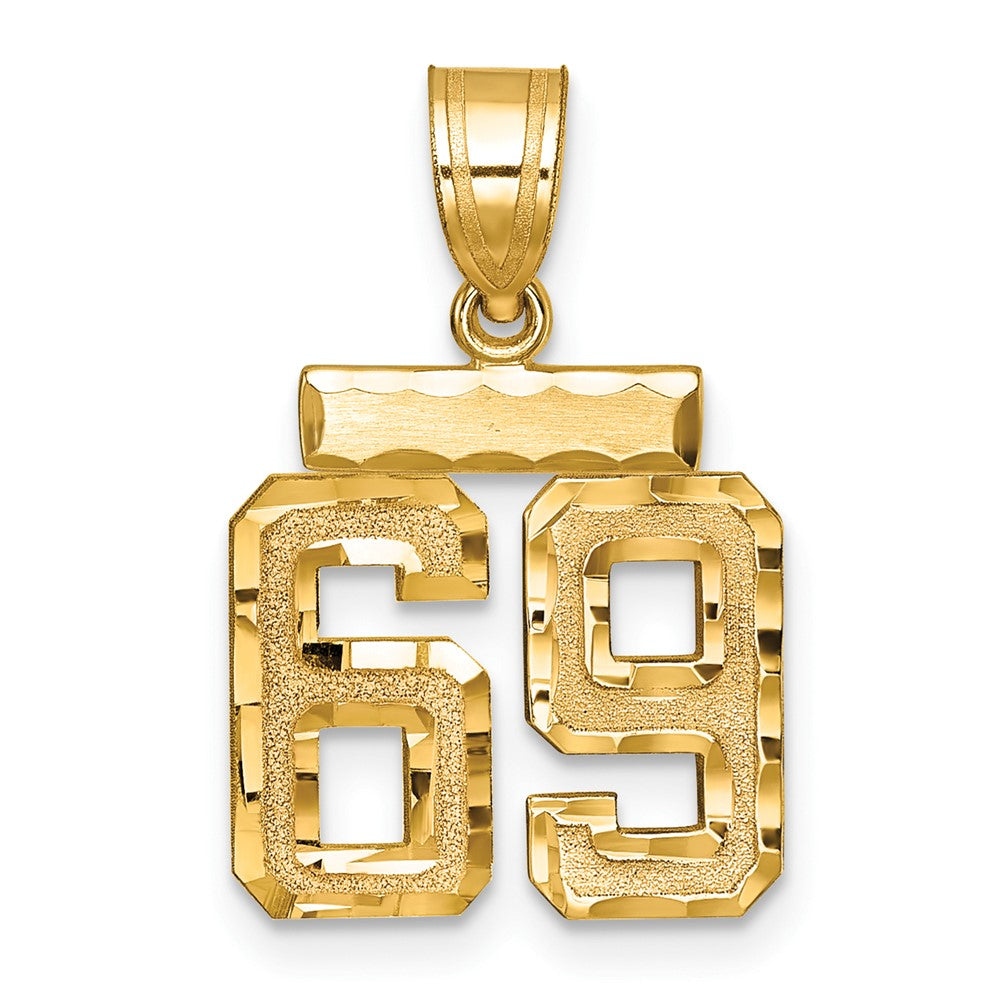 14k Small Brushed Diamond-cut Number 69 Charm