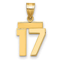14k Small Polished Number 17 Charm